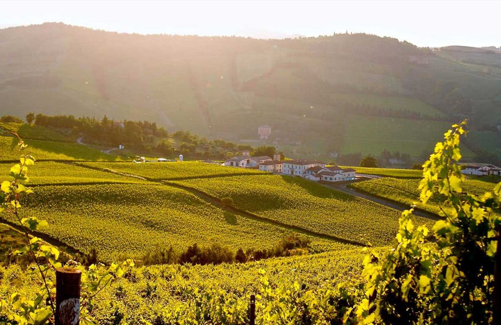 Borgo condè wine resort
